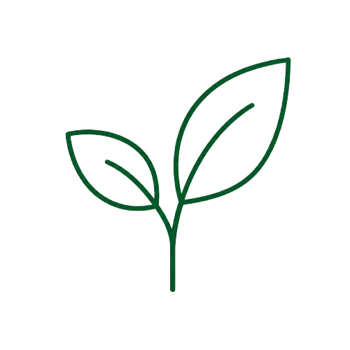 Environment Sustainbility