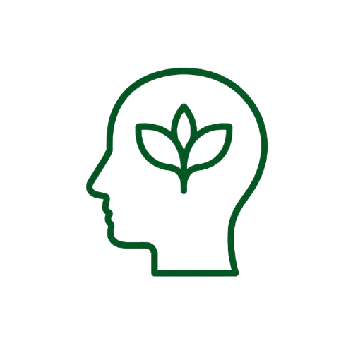 holistic devlopment